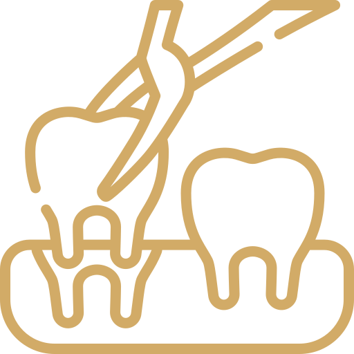 Root canal therapy and extractions when needed